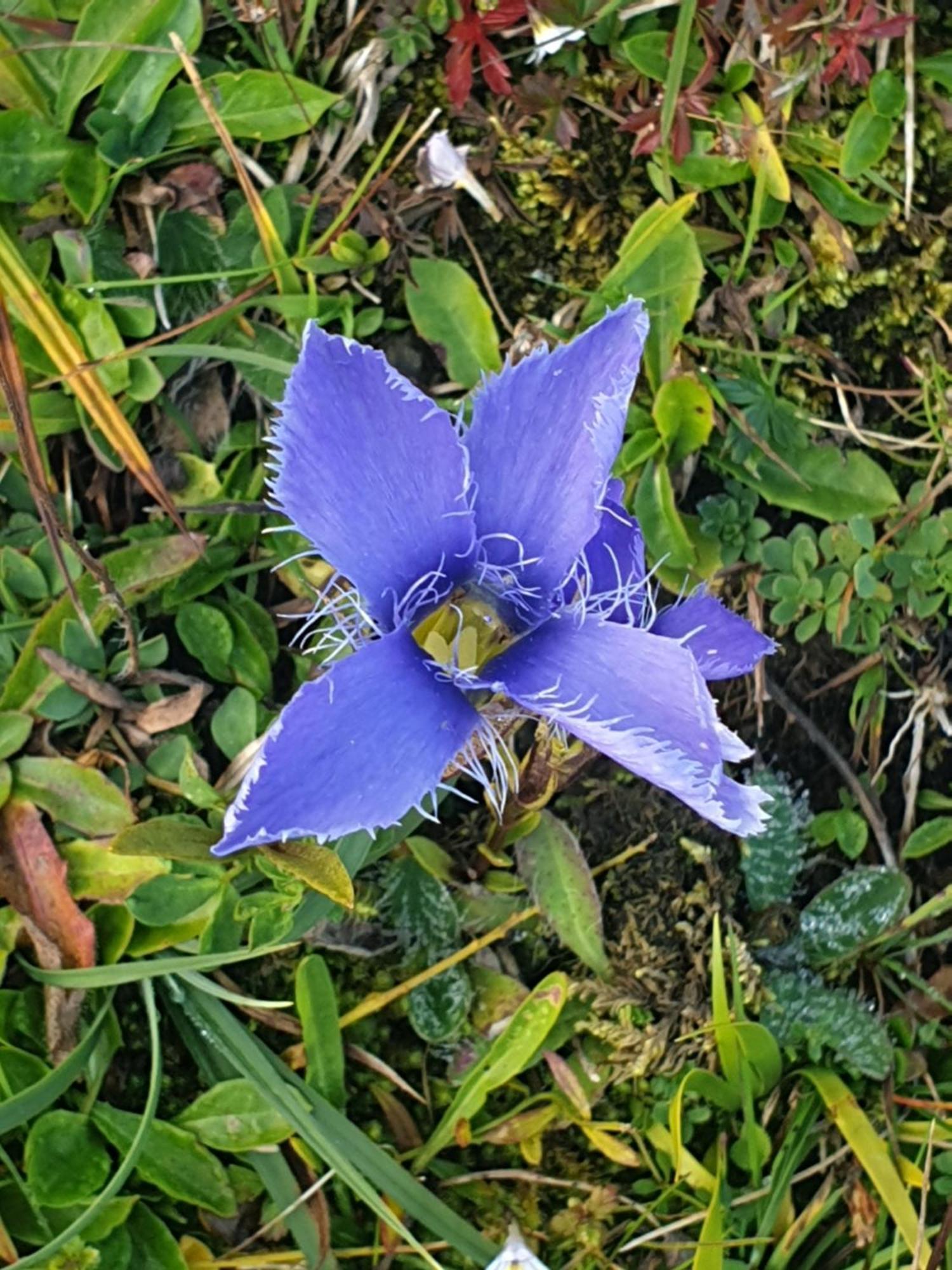 ארפנדורף Appartementhaus Huettenberger מראה חיצוני תמונה